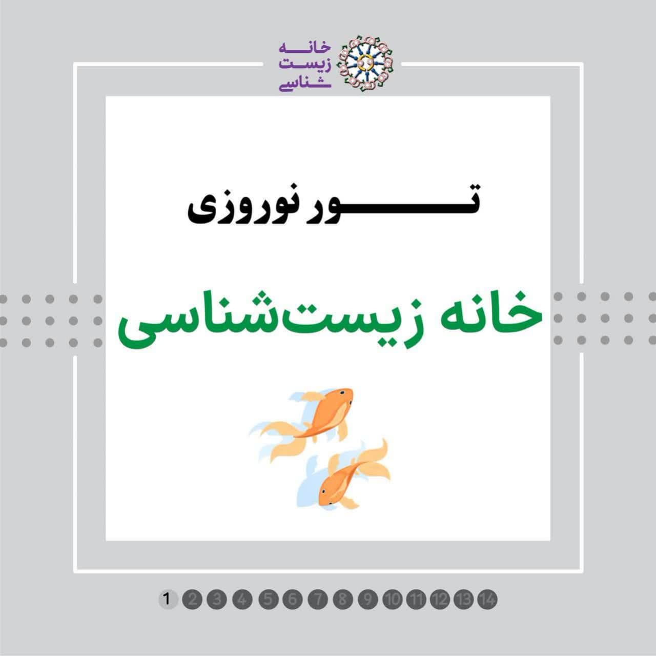 تور نوروزی سفری به درون سلول