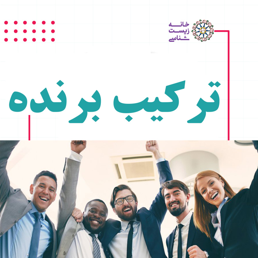 ترکیب برنده ( مجموعه ۵ کتاب )