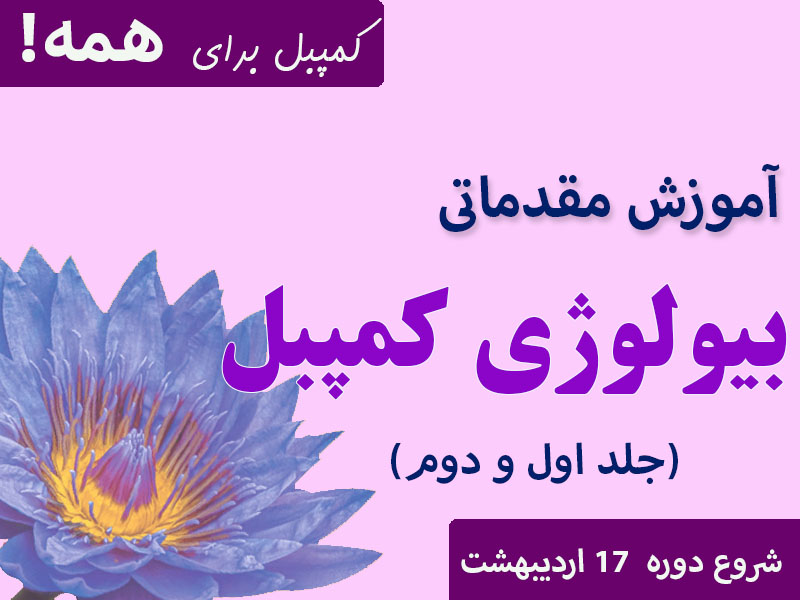 دوره کمپبل مقدماتی ( جلد اول و دوم )